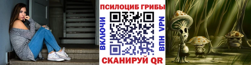 Псилоцибиновые грибы MAGIC MUSHROOMS  Купить закладки  Сухиничи 